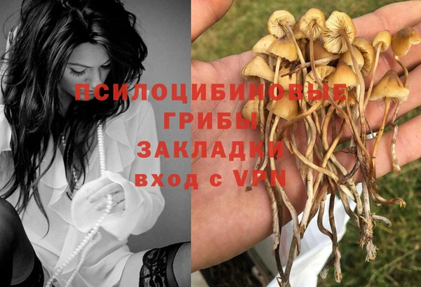 соль курить ск Абаза