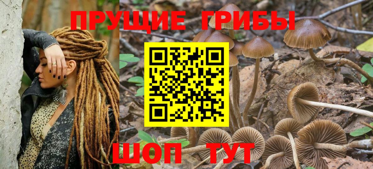 Ростов-на-Дону  Псилоцибиновые грибы мицелий  Вход с VPN  Псилоцибиновые грибы Cubensis 